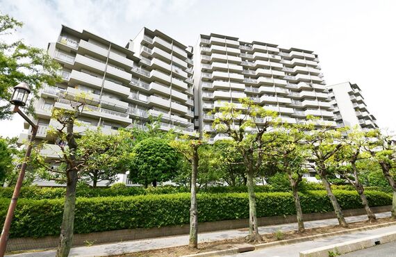 マンション情報｜エバーグリーン南港ポートタウン｜大阪市住之江区｜大阪市で不動産売買なら株式会社NORTH COMPANY