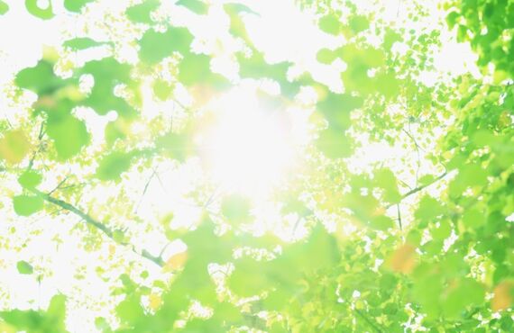 マンション情報｜ライオンズマンション北田辺第2｜大阪市東住吉区｜大阪市で不動産売買なら株式会社ノースカンパニー