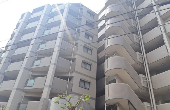 マンション情報｜レックスマンション田辺｜大阪市東住吉区｜大阪市で不動産売買なら株式会社NORTH COMPANY