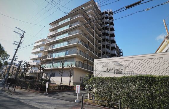 マンション情報｜メゾンドール緑橋｜大阪市東成区｜大阪市で不動産売買なら株式会社NORTH COMPANY