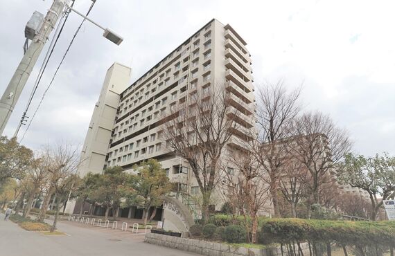 マンション情報｜かもめ第一コーポ11号棟｜大阪市住之江区｜大阪市で不動産売買なら株式会社ノースカンパニー